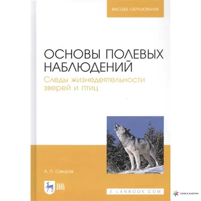 Иллюстрация 28 из 42 для Следы зверей и птиц. Энциклопедический  справочник-определитель - Вадим Гудков | Лабиринт -