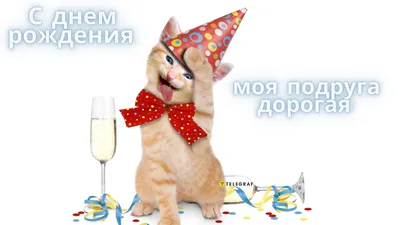 Смешные и прикольные поздравления женщине на День рождения - IVONA.UA