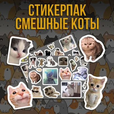 Смешные коты/ Funny cats added... - Смешные коты/ Funny cats