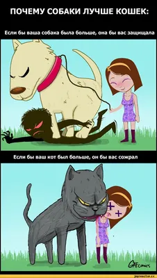 Иллюстрации смешных моментов из жизни кошек и собак