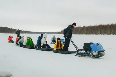 Картинка снегохода собаки в разных размерах и форматах