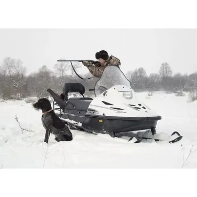 Фото снегохода с собакой в формате png: доступно для бесплатного скачивания