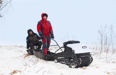 Снегоход собака – идеальный способ передвижения зимой