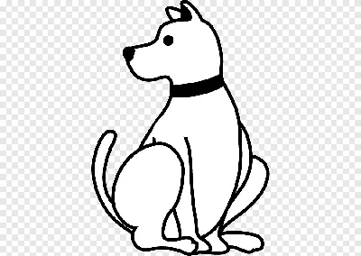 Фото с черно-белым изображением собаки в высоком разрешении