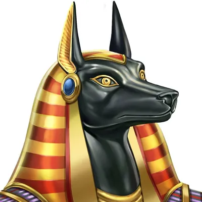 Изображение собаки фараона: фото для использования в качестве обоев
