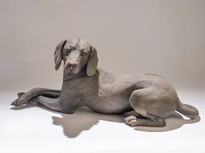 «Фото собаки из пластилина: превосходное качество в формате jpg»