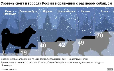 Собака из снега: стильные изображения для фона