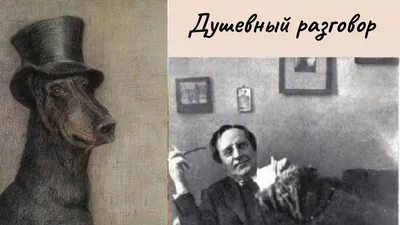 Собака Качалова с чувствительным взглядом - прекрасное изображение