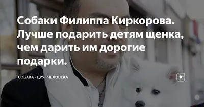 Собака Киркорова: фото с характерными чертами породы