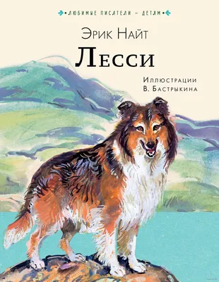 Картинка Собака лесси в хорошем качестве для использования в рекламных целях