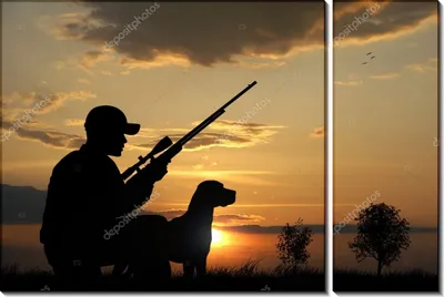 Картинки собаки охотницы на львов: безупречное качество и пленительное действие