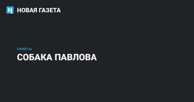 Изображения собаки павлова: бесплатное скачивание в любом формате