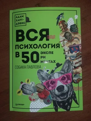 Фото собаки павлова: скачайте бесплатно и обожайте