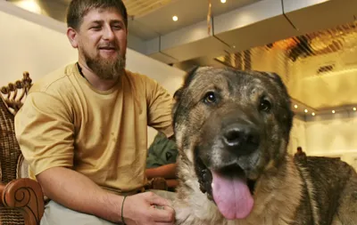 Собаки Кадырова: фотографии в высоком разрешении