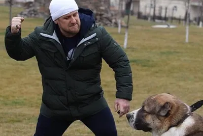 Изображения собак Кадырова: высокое качество для скачивания