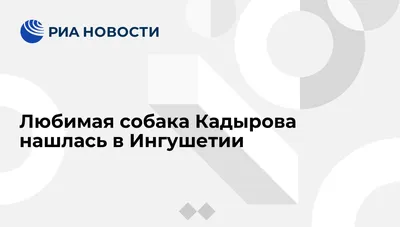 Фотографии собак Кадырова: выберите размер изображения и формат для скачивания