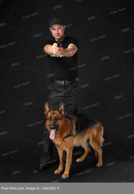 Фото Собаки охранники: выберите размер изображения и формат для загрузки