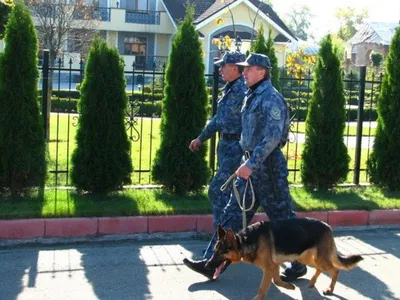 Фото Собаки охранники: впечатляющие изображения в png формате для скачивания