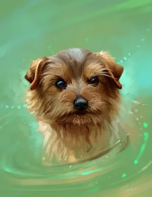 Собаки под водой: разнообразие картинок для любителей собачьего мира