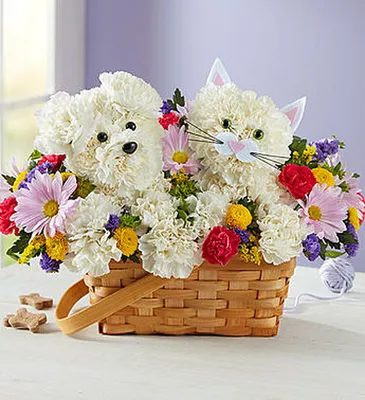 Собаки с букетом цветов: идеальные образы для фото и дизайна