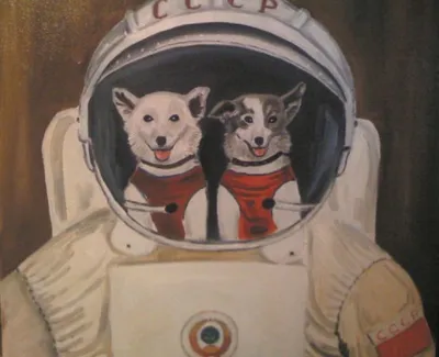 Собаки в космосе: фото для создания атмосферного настроя