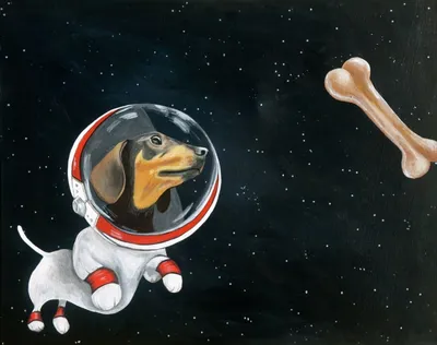 Космические собаки: яркие и запоминающиеся изображения