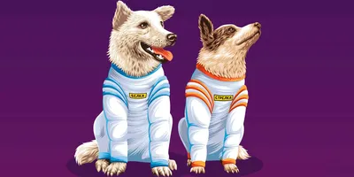 Собаки в космосе: динамичные картинки на выбор