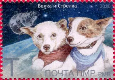 Собаки в космическом путешествии: изображения для любителей животных
