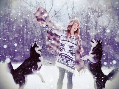 Зимние радости с собакой: бесплатные картинки для вашего сайта