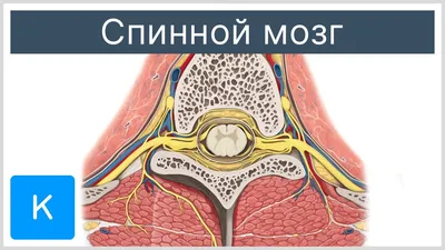 Пораскинем мозгами: восемь сцен из фильмов глазами криминалиста - новости  Право.ру