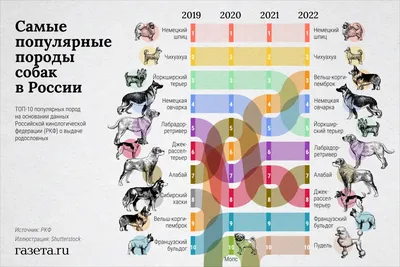 Породы собак: фото во всех форматах для свободного скачивания.