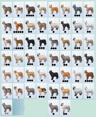 Фотографии всех пород собак в разных размерах и форматах.