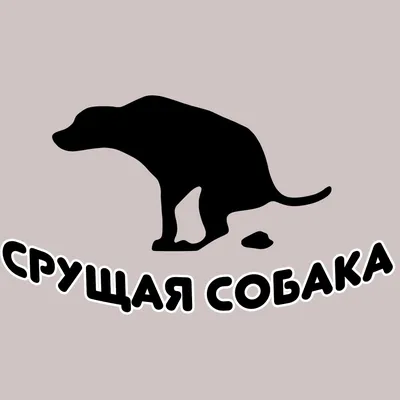 Картинки срущих собак на фоне природы