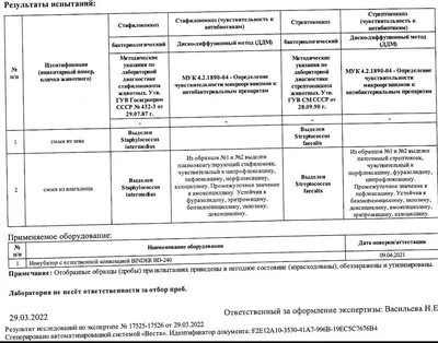 Уникальные фотографии Стафилококка у собак теперь доступны в формате webp