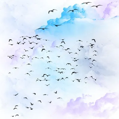 Стая птиц в небе рисунок - 71 фото