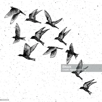 Стая птиц в небе, произвольный …» — создано в Шедевруме