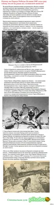 Фотографии Сталинской собаки: великолепие и вдохновение