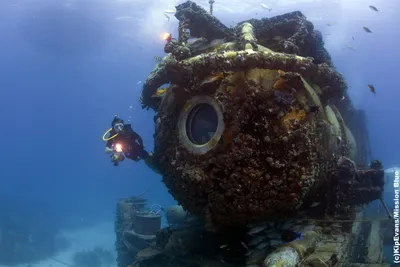 See Amazing Pictures as Jacques Cousteau's Grandson Starts 31 Days  Underwater - ABC News