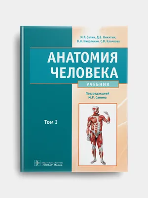 Иллюстрация 6 из 17 для Анатомия человека. Фотографический атлас в 3-х  томах. Том 3. Внутренние органы. Нервная система - Борзяк, Гунтер, Путалова  | Лабиринт - книги. Источник: Ромыдтчъ