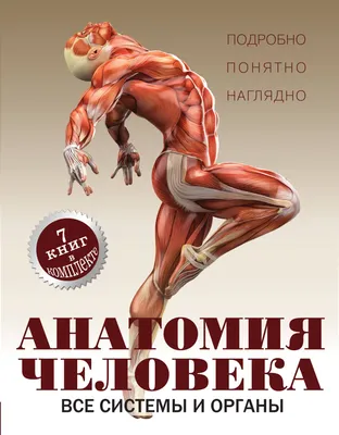 Анатомия человека. Современный атлас с подробными иллюстрациями Билич Г.Л.,  Зигалова Е.Ю. 9785041197018