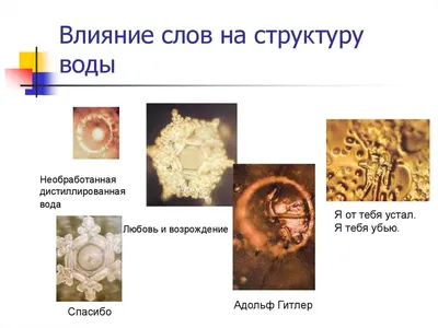 Шаг 1 – Свойства, структура воды – Stepik