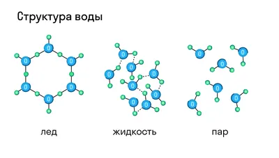 Живая и мертвая вода - воздействие на воду | Марьям Аллалио | Дзен