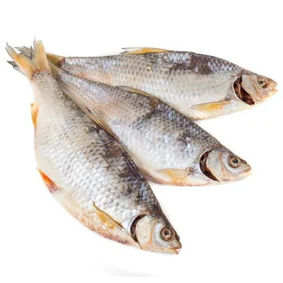 Сухая рыба стоковое изображение. изображение насчитывающей еда - 157787765