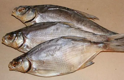 Сухая Рыба Рынке Крупный План Рыбы стоковое фото ©sumaetho 670231850