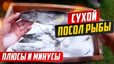 Сухая рыба по оптовым ценам... - Сухая рыба по оптовым ценам