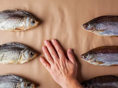 кефаль рыба сухая рыбная мука серебро Фото Фон И картинка для бесплатной  загрузки - Pngtree