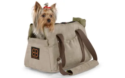 Собачьи сумки в разных размерах - выбирайте фото по вкусу!