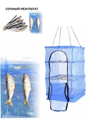 Сушилка для рыбы 40 x 40 х 60 см на 3 секции Сушка-сетка (ID#1411704549),  цена: 415 ₴, купить на Prom.ua