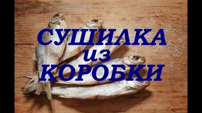 Сушилка для рыбы Akara 2 яруса 50х50х90 сетчатая, арт. SF-50-50-90 – купить  по цене 1680.00 рублей в Москве с доставкой по России в рыболовном  интернет-магазине Spinningline