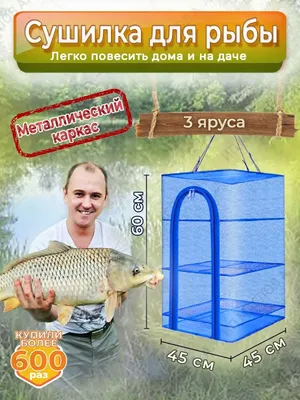 Дегидратор для рыбы и мяса купить за 95 000 руб Сушилка для продуктов,  овощей и фруктов (дегидратор) от производителя ФлексиХИТ - Москва